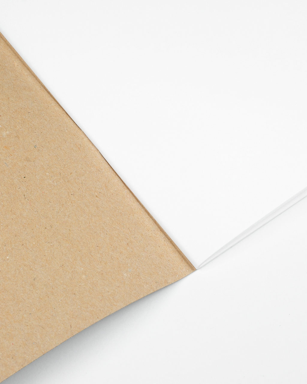 Notebook Refill (2 Pack)