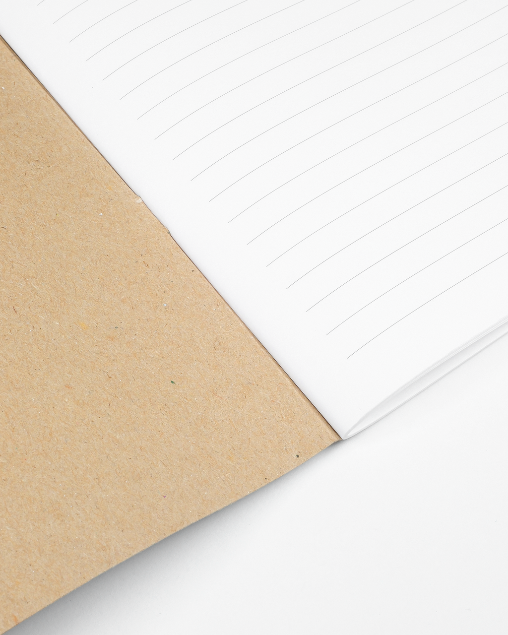 Notebook Refill (2 Pack)